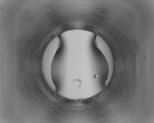 X0000060780262200512082106