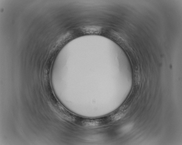 X0000060780263200512082106