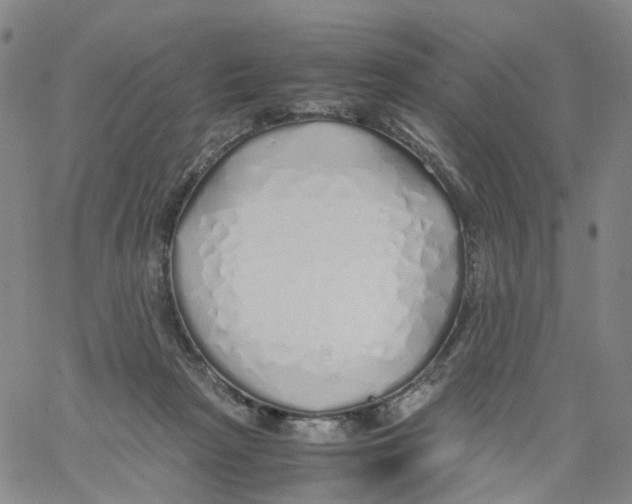 X0000060780265200512082106