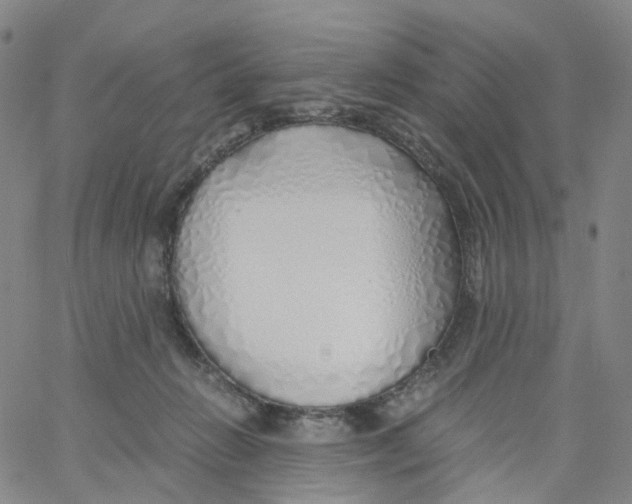 X0000060780270200512082106