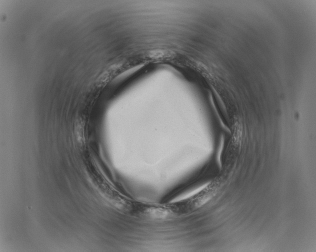 X0000060780272200512082106