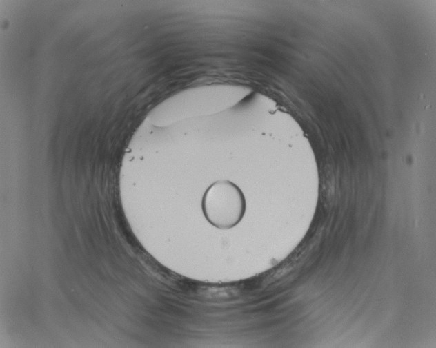 X0000060780277200512082106