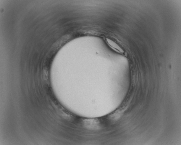 X0000060780281200512082106