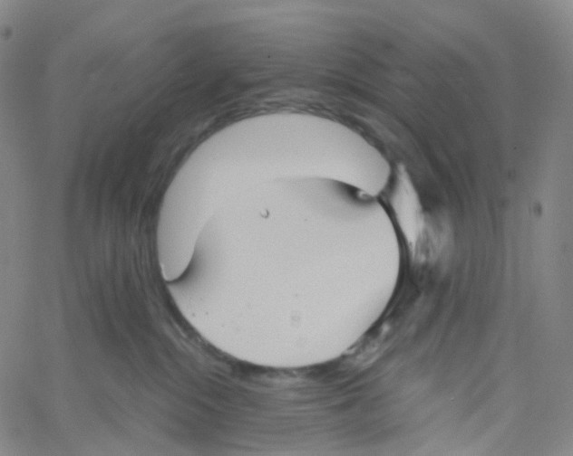 X0000060780284200512082106