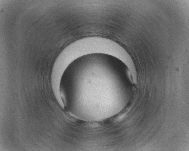 X0000060780287200512082106