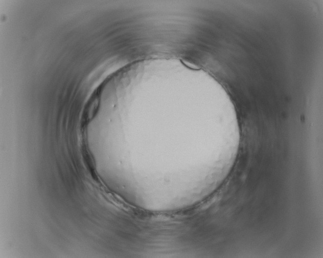 X0000060780290200512082106