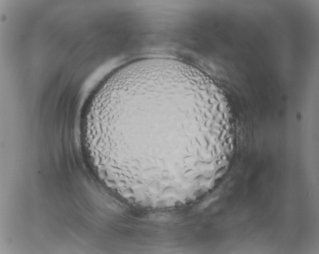 X0000060780294200512082105