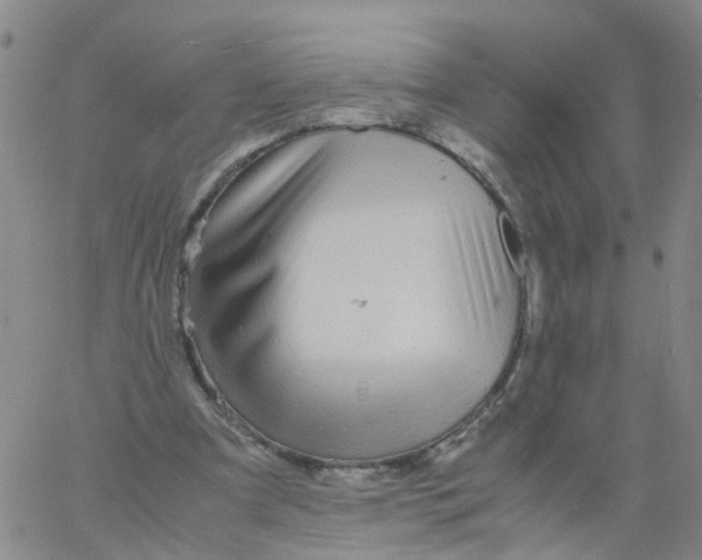 X0000060780297200512082105