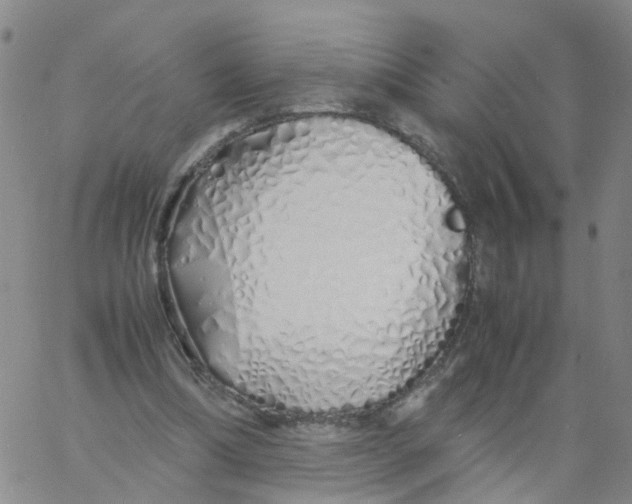X0000060780298200512082105