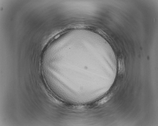 X0000060780301200512082105