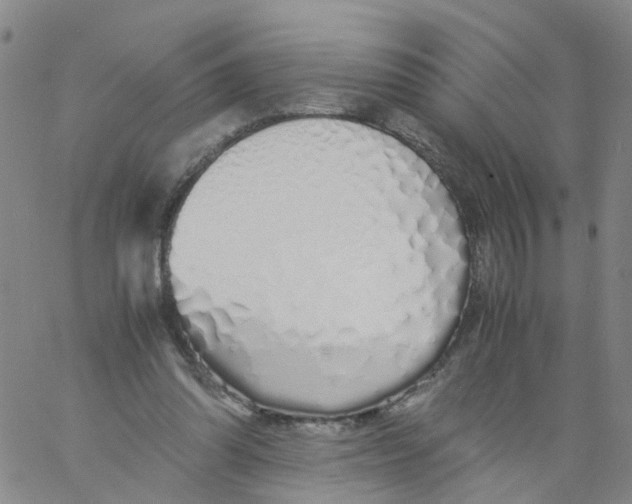 X0000060780302200512082105