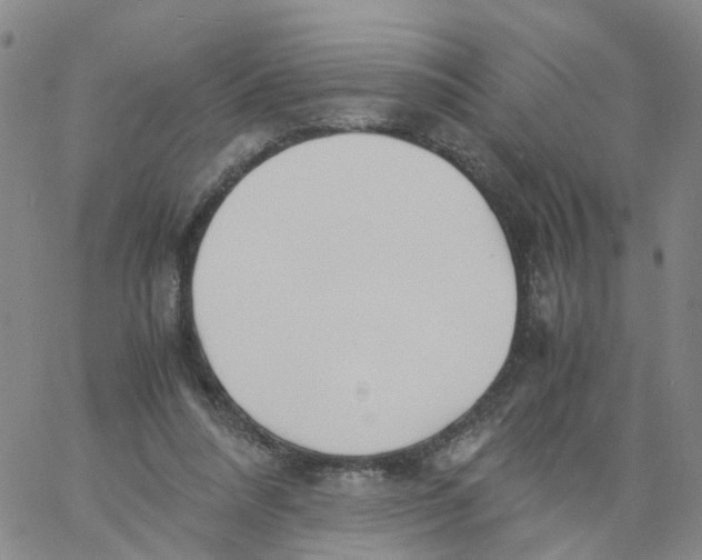 X0000060780304200512082105