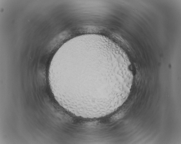 X0000060780306200512082105