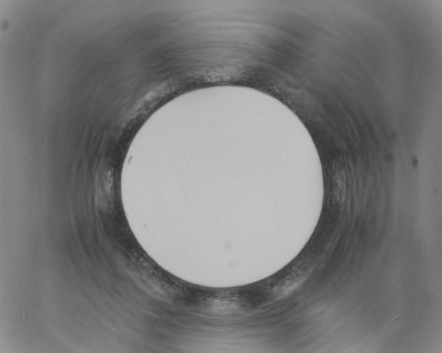 X0000060780308200512082105