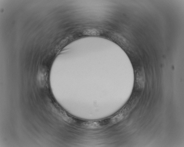 X0000060780322200512082105