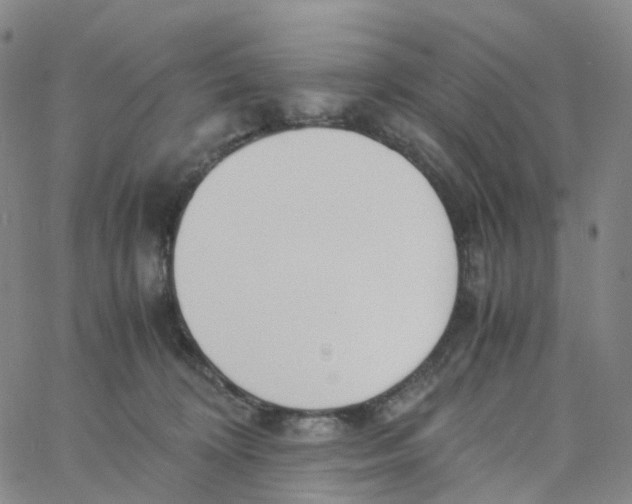 X0000060780324200512082105