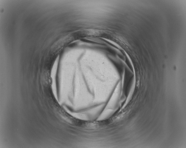 X0000060780325200512082105