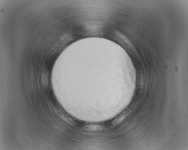 X0000060780326200512082105