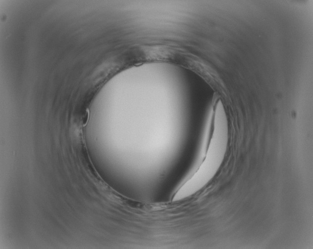 X0000060780329200512082105