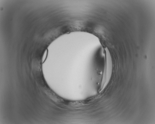 X0000060780331200512082105