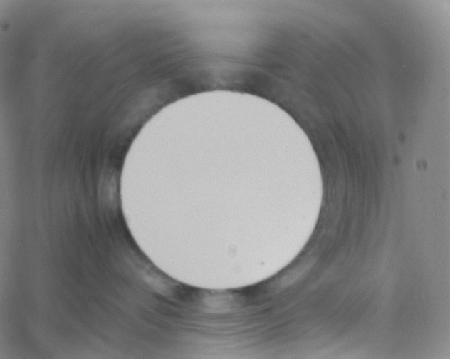 X0000060780336200512082105