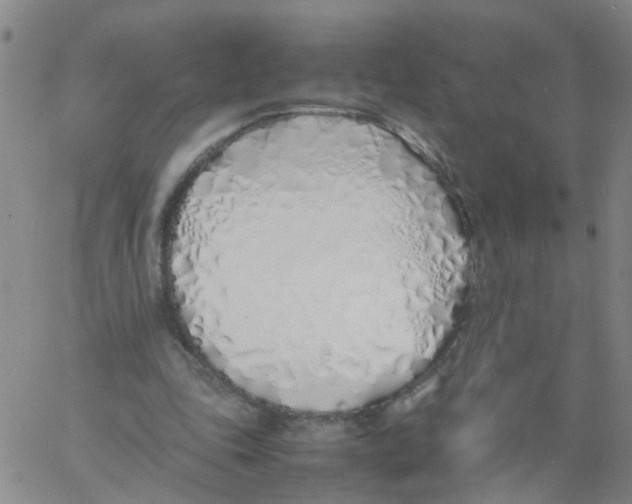 X0000060780343200512082104