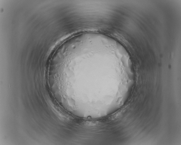 X0000060780346200512082104