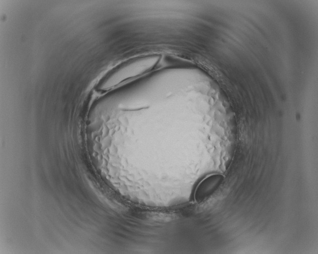 X0000060780347200512082104