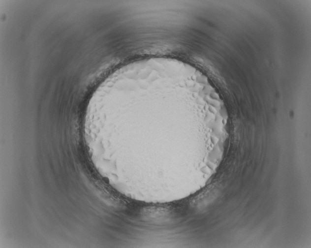 X0000060780354200512082104