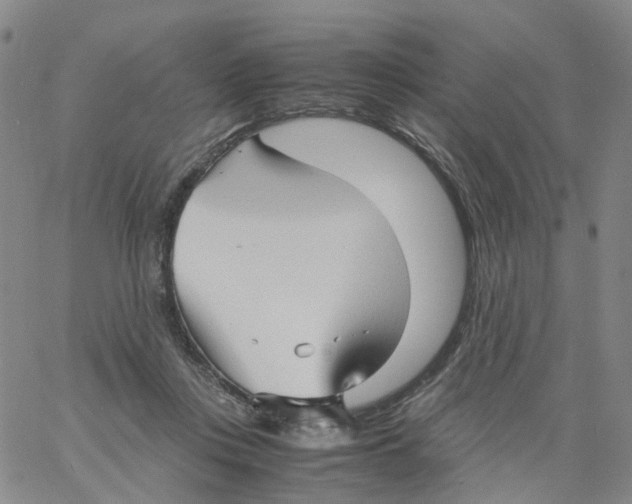 X0000060780359200512082104