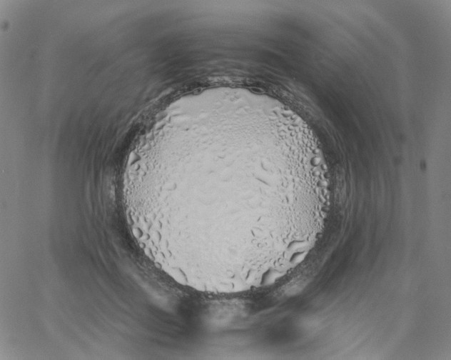 X0000060780363200512082104