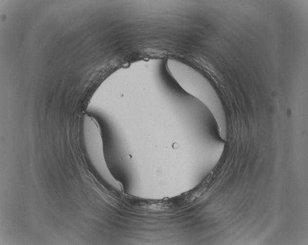 X0000060780365200512082104