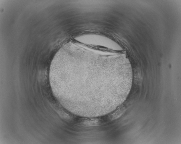 X0000060780369200512082105