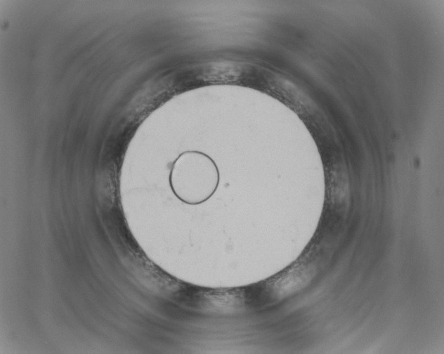 X0000060780370200512082105