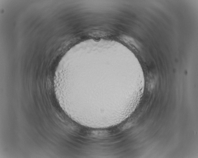 X0000060780371200512082105