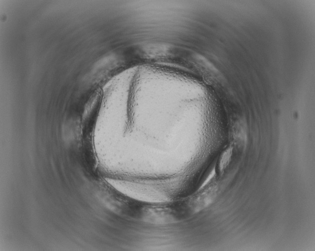 X0000060780372200512082105