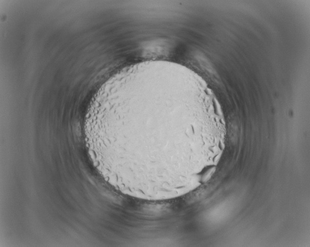 X0000060780375200512082105