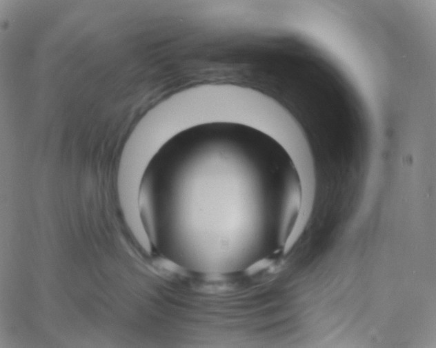 X0000060780383200512082105
