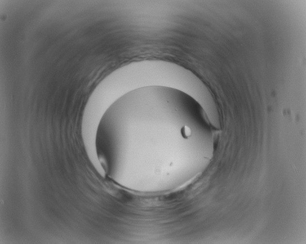 X0000060780384200512082105