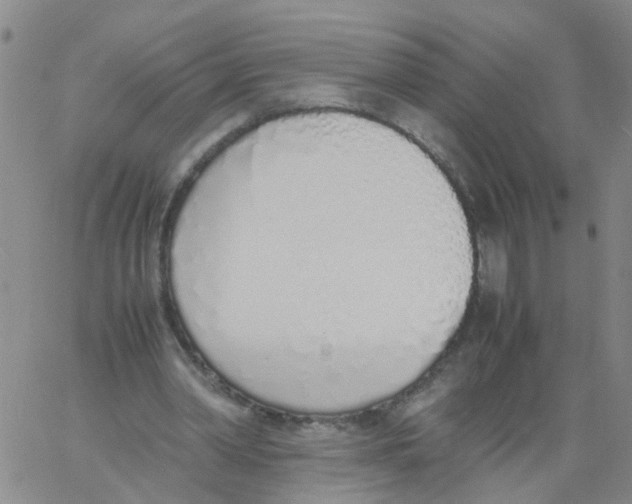 X0000060780390200512082104