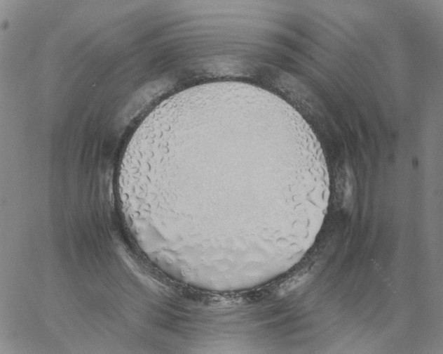 X0000060780398200512082104