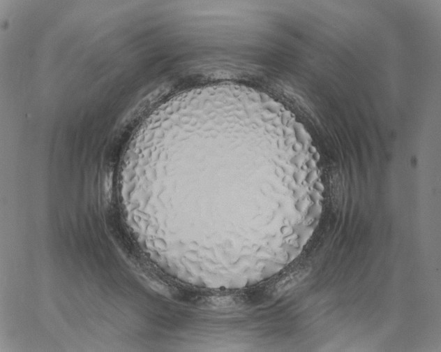 X0000060780406200512082104
