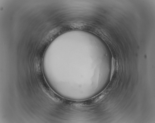 X0000060780408200512082104