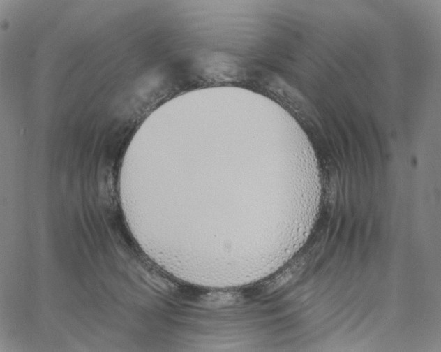 X0000060780418200512082103