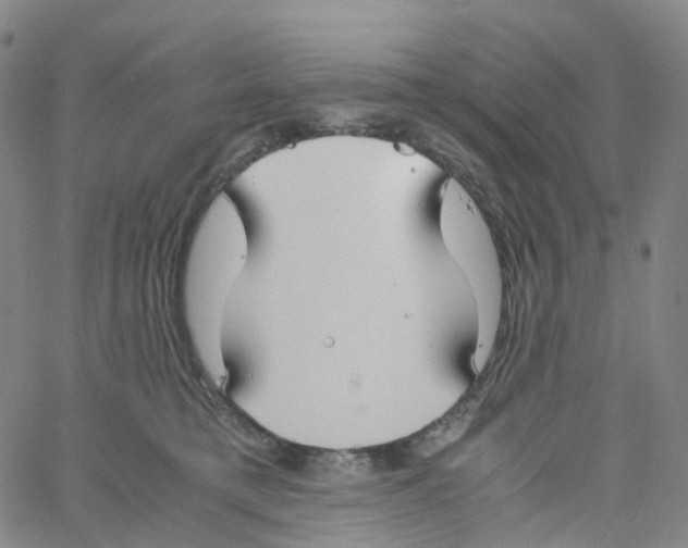 X0000060780421200512082103