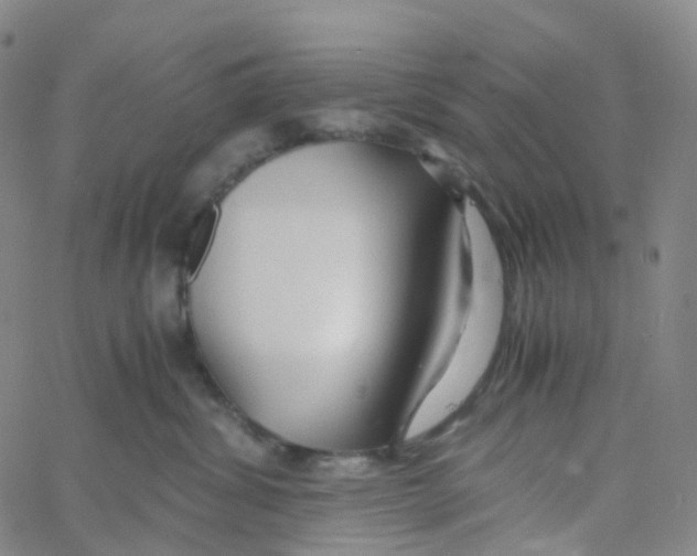 X0000060780428200512082103