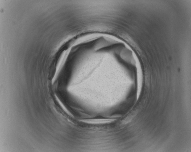 X0000060780434200512082102