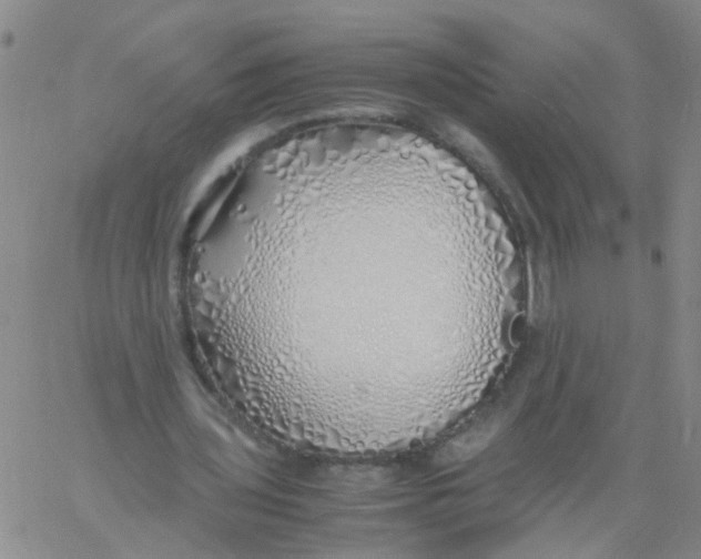 X0000060780435200512082102