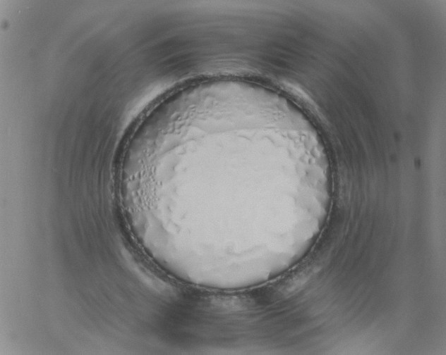 X0000060780439200512082103