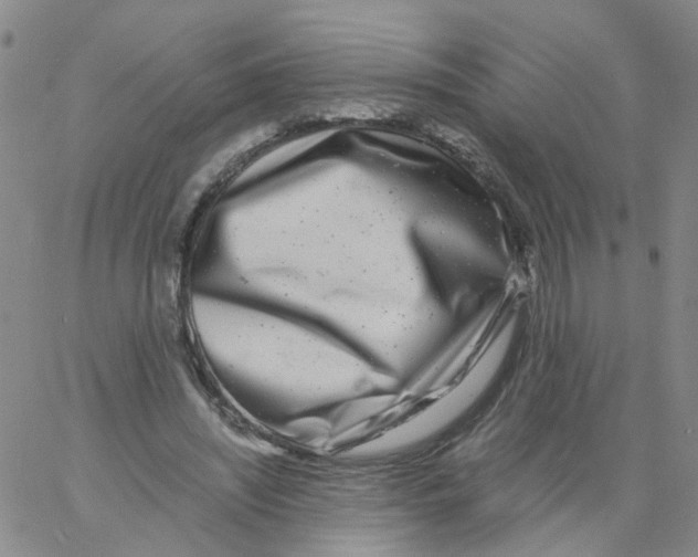 X0000060780444200512082103